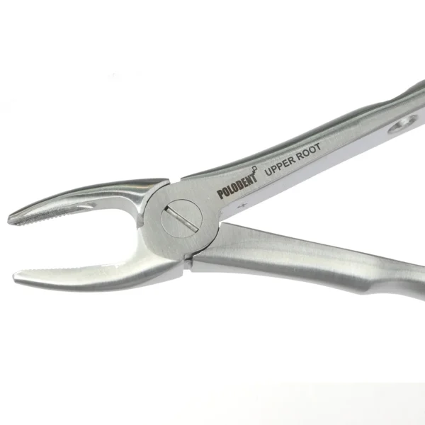 Polodent Extraction Forcep Upper Root Standard #29 Premium