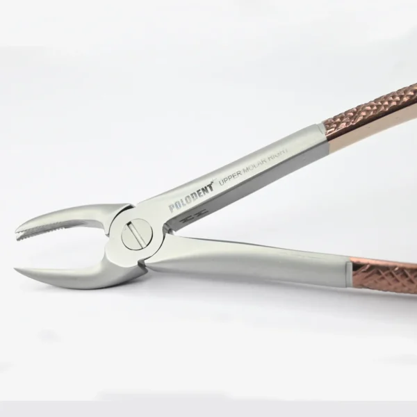 Polodent Extraction Upper Molar Right - #89 Rose Gold